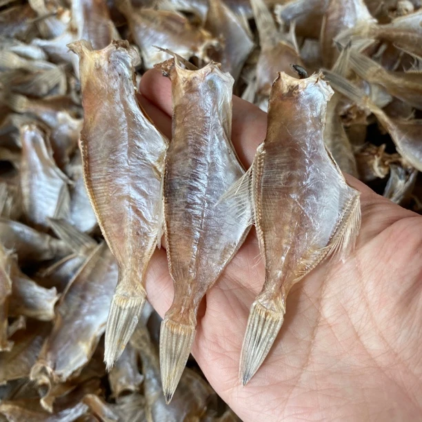 剥皮鱼干迪仔鱼汕尾本港敌仔脯扒皮鱼干大号下饭鱼干微咸海鱼干货