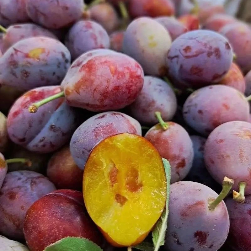 法兰西西梅 1份 约300g-350