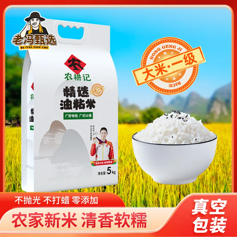 【老冯甄选】精选天然油粘米10斤装马坝油粘米长粒香大米江南米籼米