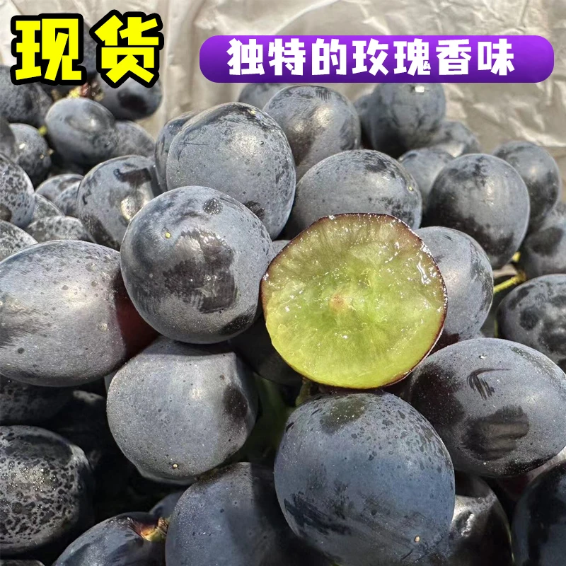【小乐优选】智利 玫瑰香葡萄 一箱3斤新鲜好吃 皮薄甜 汁水足 葡萄