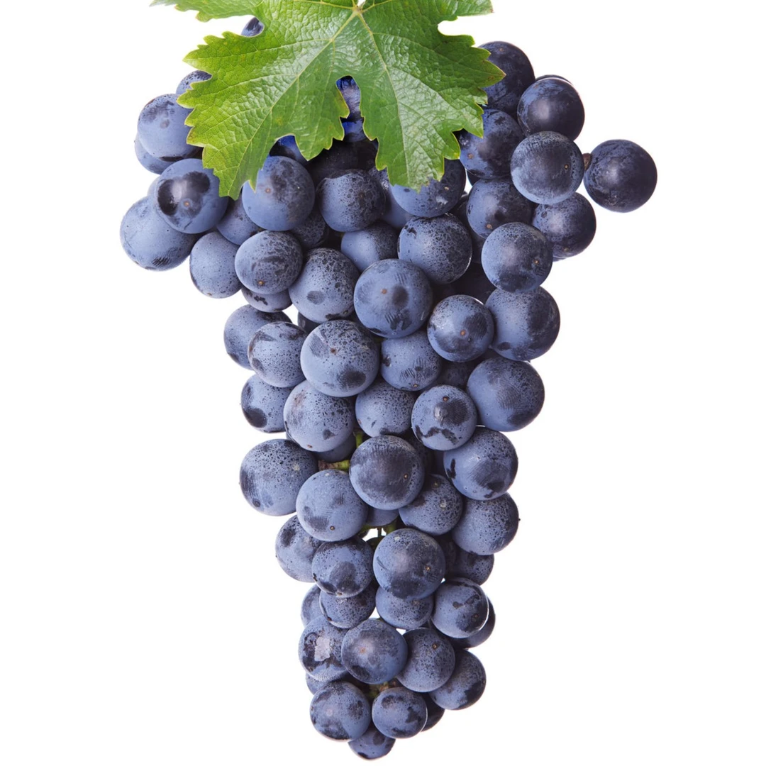 【小乐优选】新疆蓝梅 葡萄 一箱3.7-4斤左右 掉粒不售后  新鲜好吃