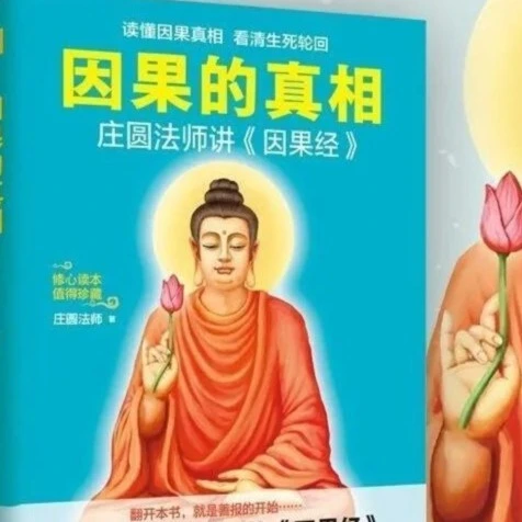 读懂因果的真相庄圆法师讲因果经看清生死轮回人生修心书籍推荐