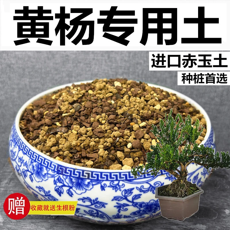 黄杨专用土赤玉土风化土颗粒土营养土种植土弱酸性土玉肥专用肥