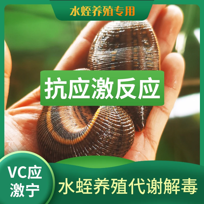 VC+葡萄糖黄金配比强水溶性高品质抗应激反应功能高效vc开口剂