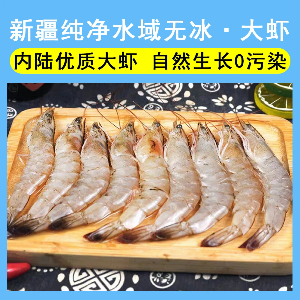 新疆自产盐碱地冷冻对虾产品无冰优质美味纯净