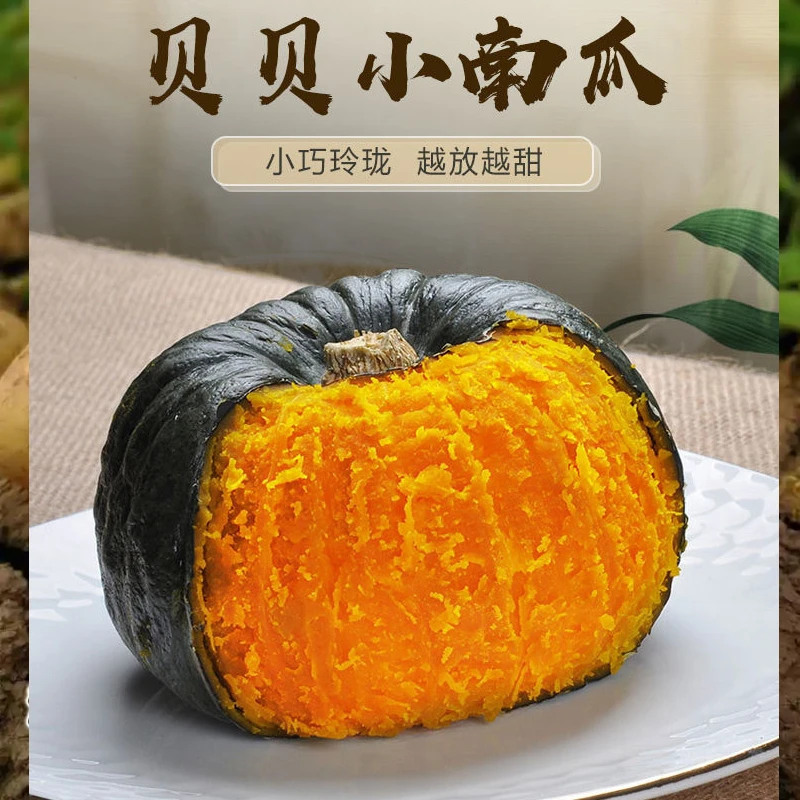 【田野甄选】洛南贝贝南瓜，2500克5斤装包邮到家，新鲜现摘现发