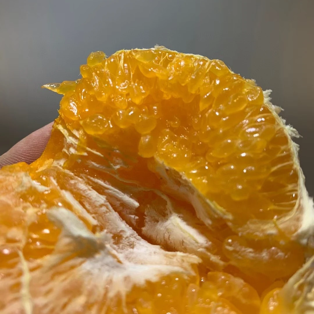 【春见丑橘】甜润多汁一箱4斤中果产品