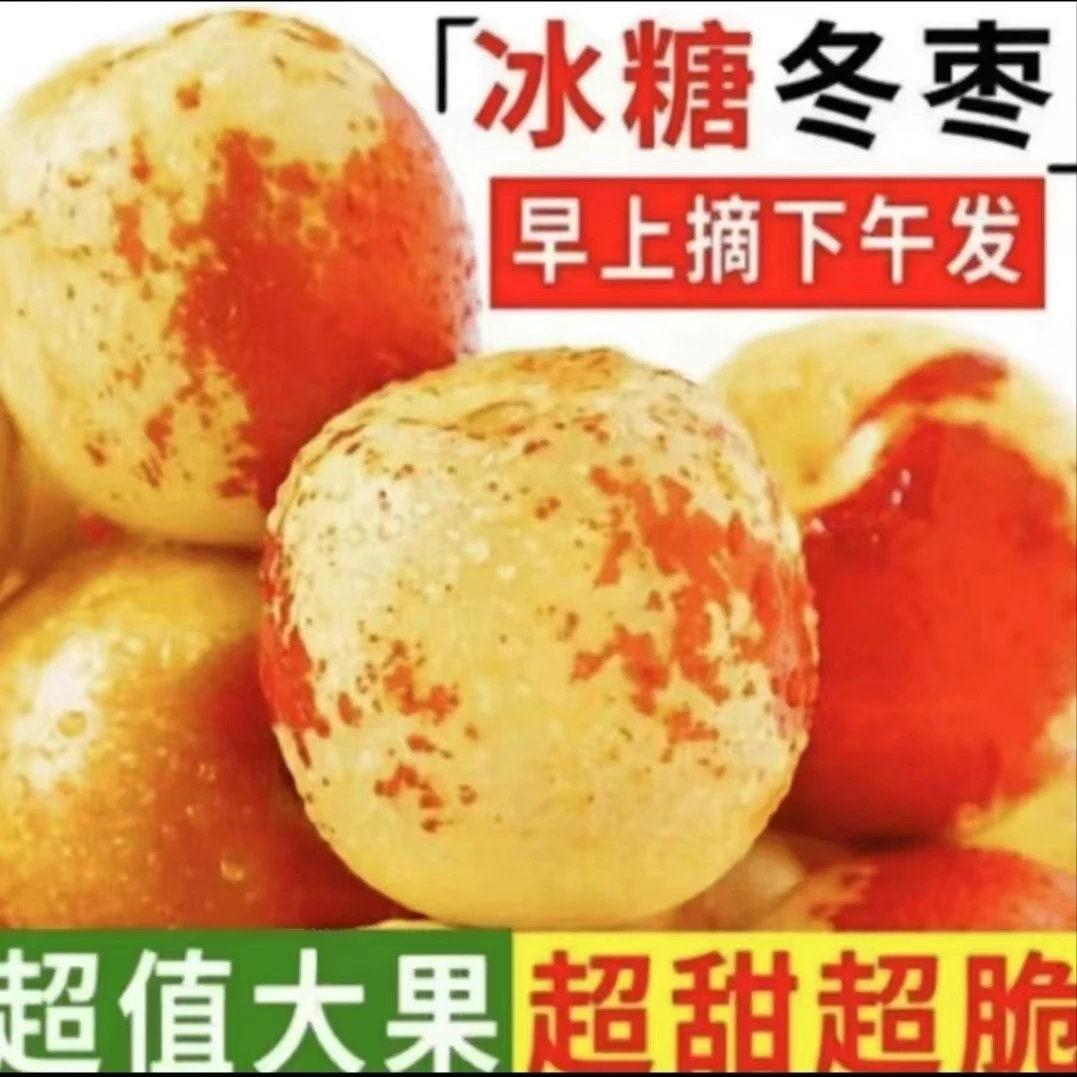 【买三斤送两斤】陕西冬枣应季新鲜水果新鲜采摘发货细腻皮薄肉厚