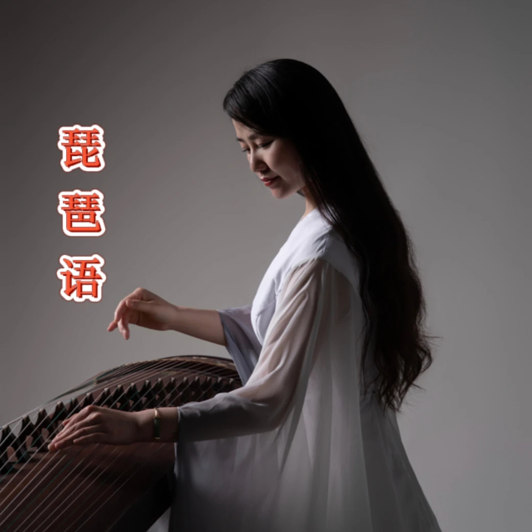 《琵琶语》纯筝版D调