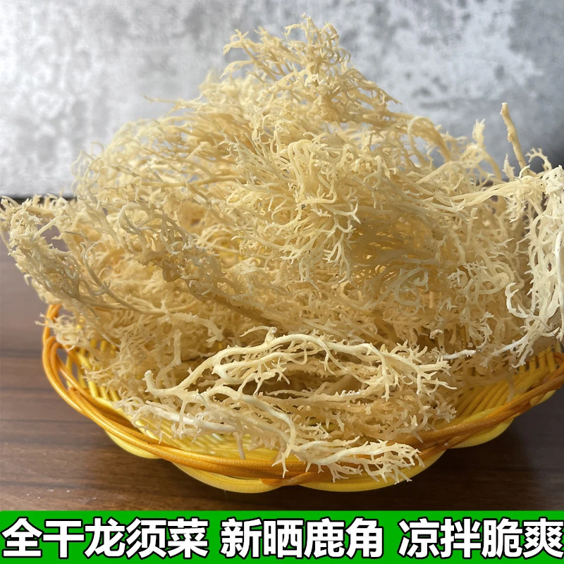 淡干龙须菜干货石花菜新晒鹿角菜海石花珊瑚草凉拌菜爽脆海藻商用