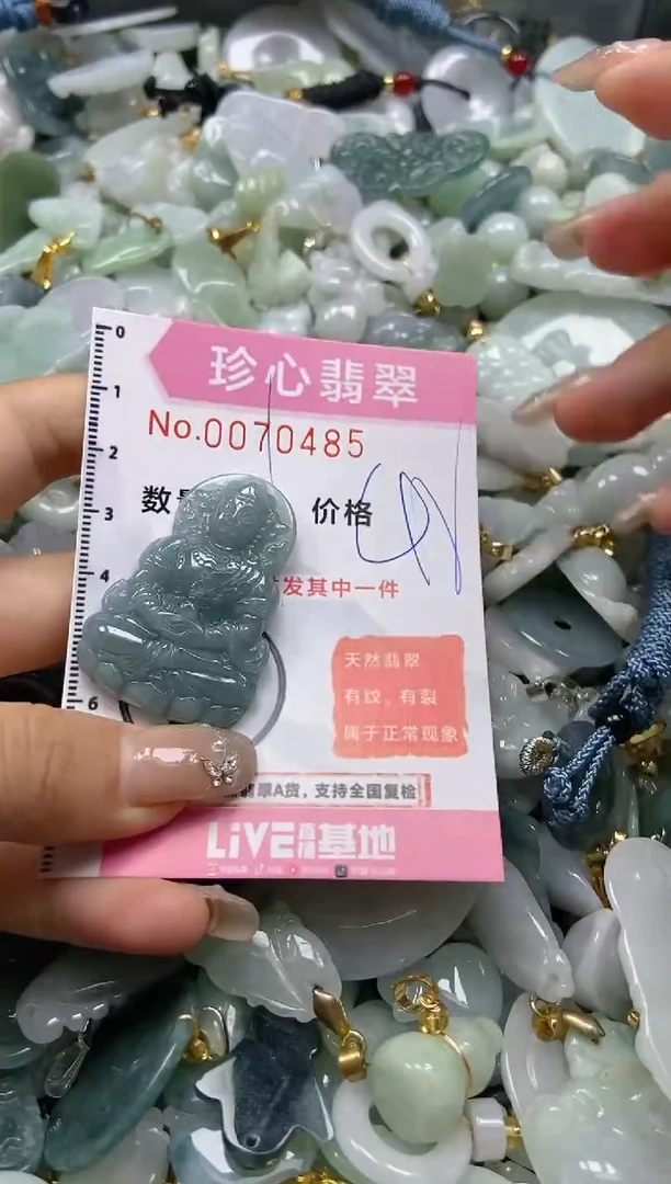 【闪购商品】翡翠颈饰未镶嵌闪购0070485
