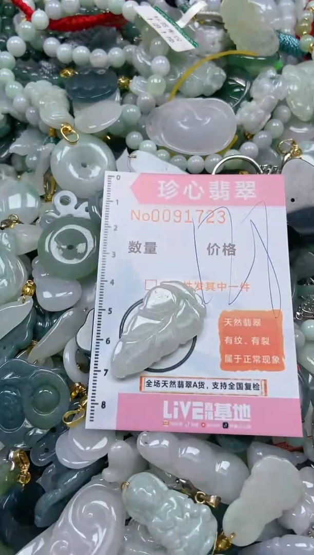 【闪购商品】翡翠颈饰未镶嵌闪购0091723