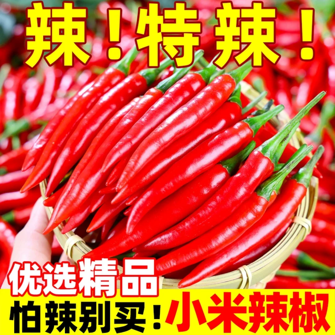 【优主播推荐】云南文山丘北辣椒之乡小米椒现摘辣椒餐饮泡椒剁椒