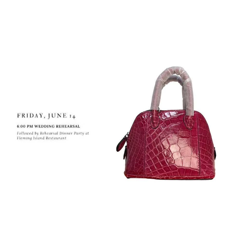 151-200（对应编码刷新去拍B）高档轻奢稀有皮女包百搭时尚女士包