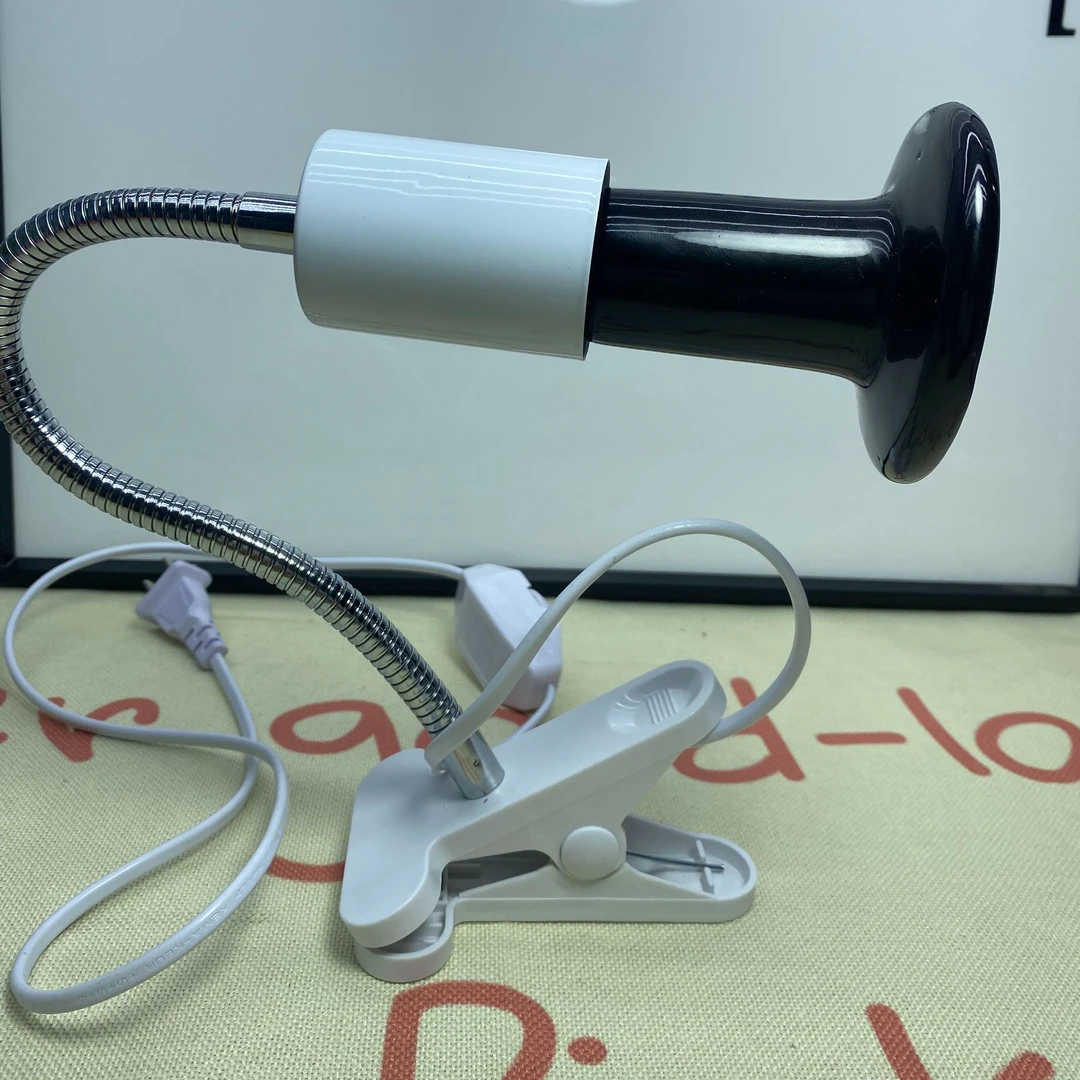 爬宠冬用加热灯！