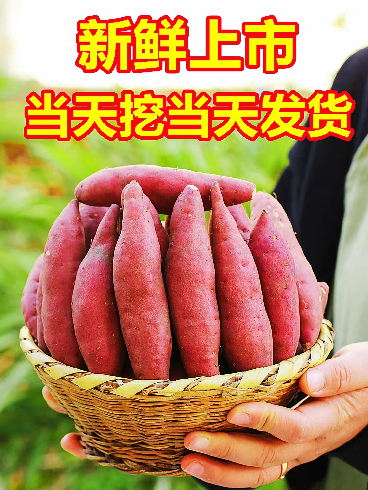 安徽红薯流油蜜薯糖心甜红薯新鲜地瓜山芋烟薯