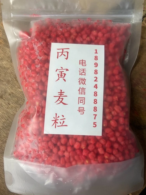 丙寅麦粒/300克包装粒粒饱满/针对鲫鱼/鲤鱼/草鱼/边鱼/翘嘴