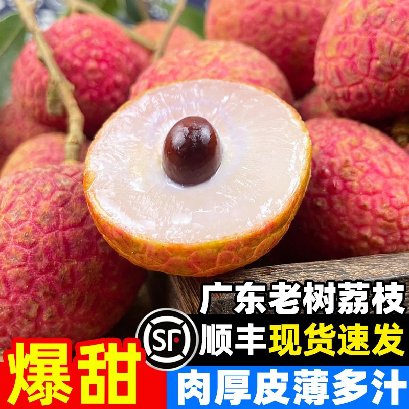 顺丰速发 茂名老树红荔枝广东新鲜水果1/5斤非妃子笑桂味白糖罂