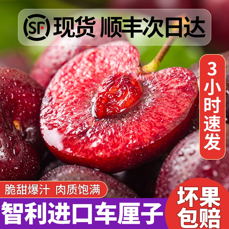 智利进口车厘子瑞吉娜5/斤海运新鲜水果J大樱桃现货 内附果径卡