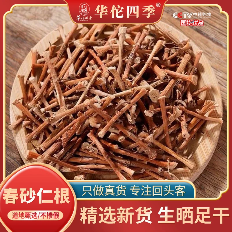 阳春砂仁根阳春甄选当季新货煲汤泡水砂仁根