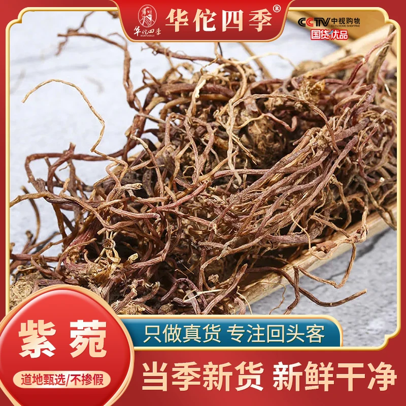 华佗四季紫菀 紫菀根须 产地甄选正品新货干货水洗无杂泡水另紫苏