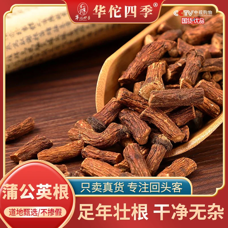 华佗四季蒲公英根 长白山 婆婆丁根主根切断泡水粗壮主根无硫新货