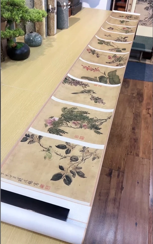 清蒋廷锡 画花卉册10开(合集卷)花鸟29.7x242.88cm-0J国画复仿