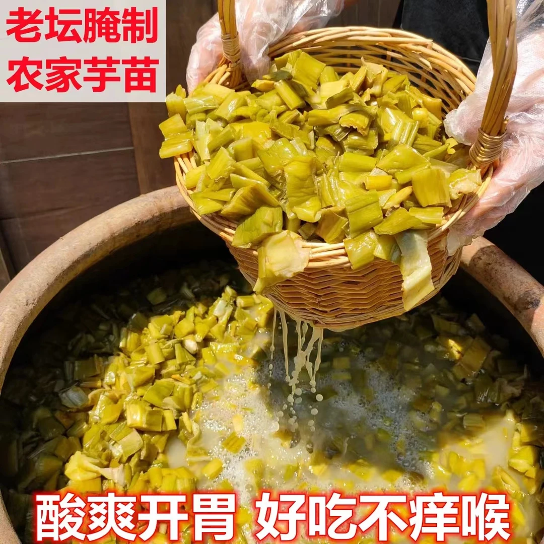 芋苗酸下饭菜广西农家芋苗酸正宗芋荷广西酸嘢新鲜酸芋苗开胃芋荷