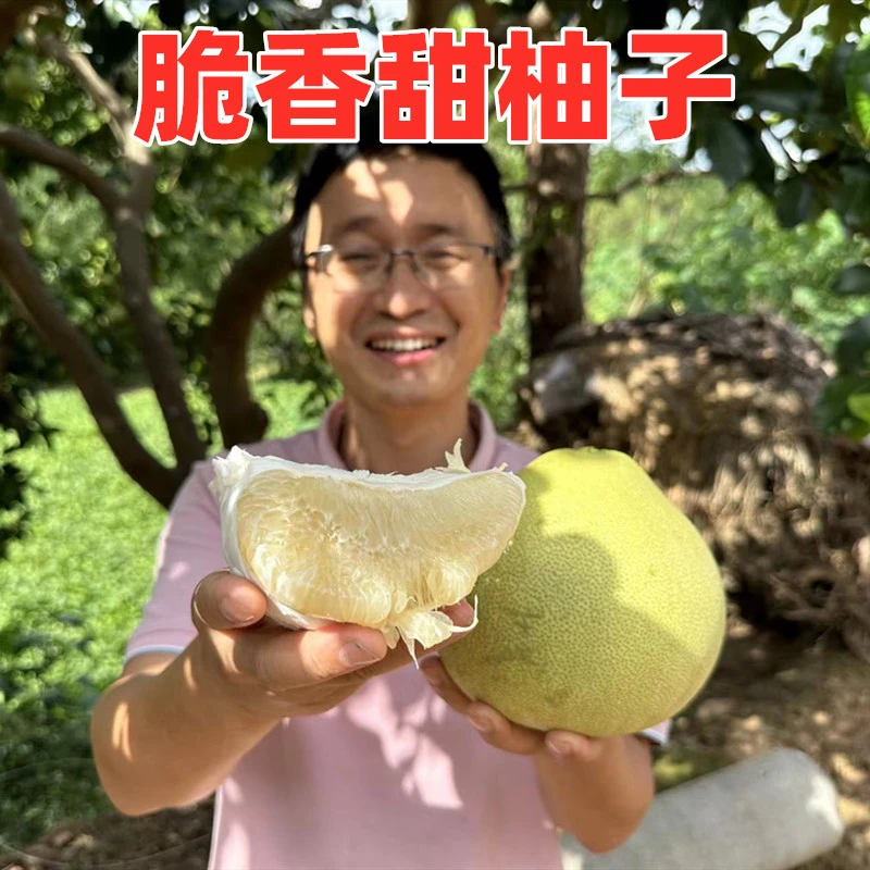 四川特产广元苍溪脆香甜柚子2个包邮