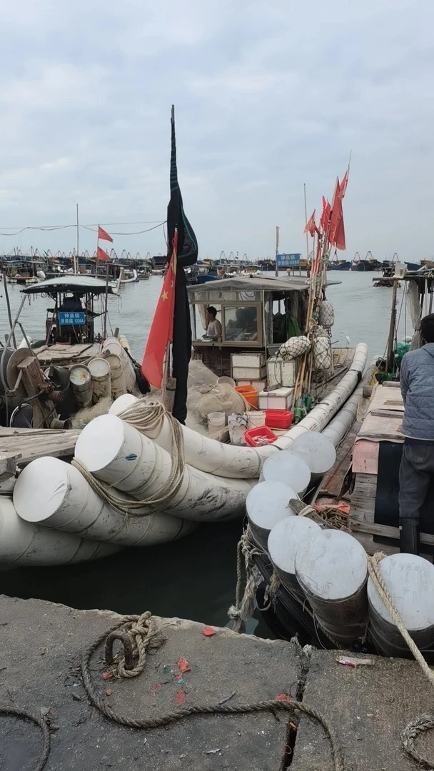 惠来神泉港海鲜鱼