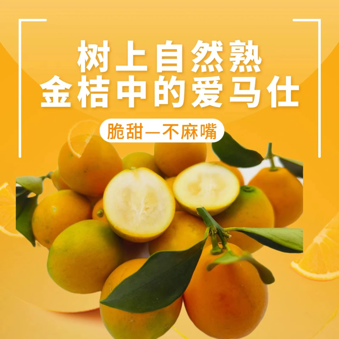 试吃装尝鲜融安脆蜜金柑纯甜无籽三代金桔自然成熟水果一斤中果