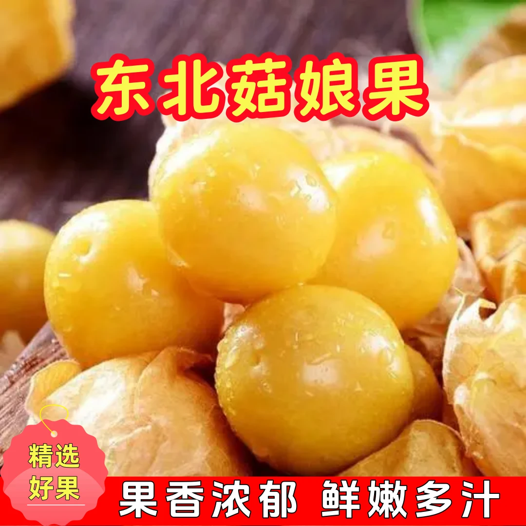 【香甜多汁】东北菇娘果灯笼果香甜可口现采现摘产地直发净重2斤