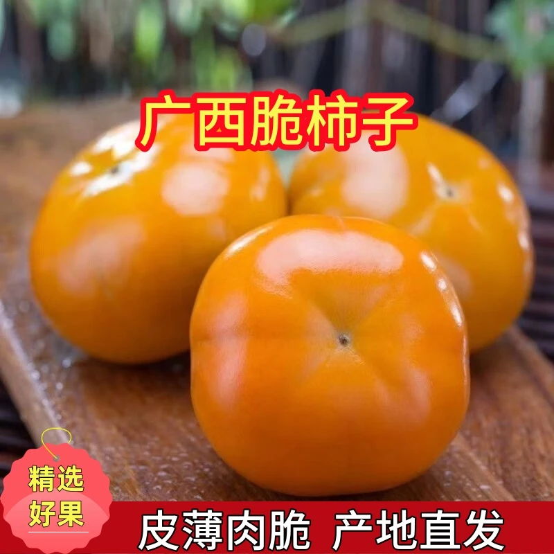 【脆柿】正宗广西脆柿巧克力脆柿香甜可口产地直发