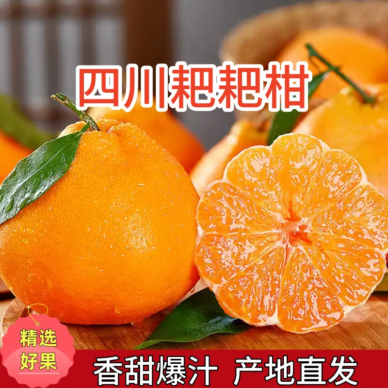 【粒粒爆汁】正宗四川春见耙耙柑香甜多汁现采现摘产地直发带箱5斤
