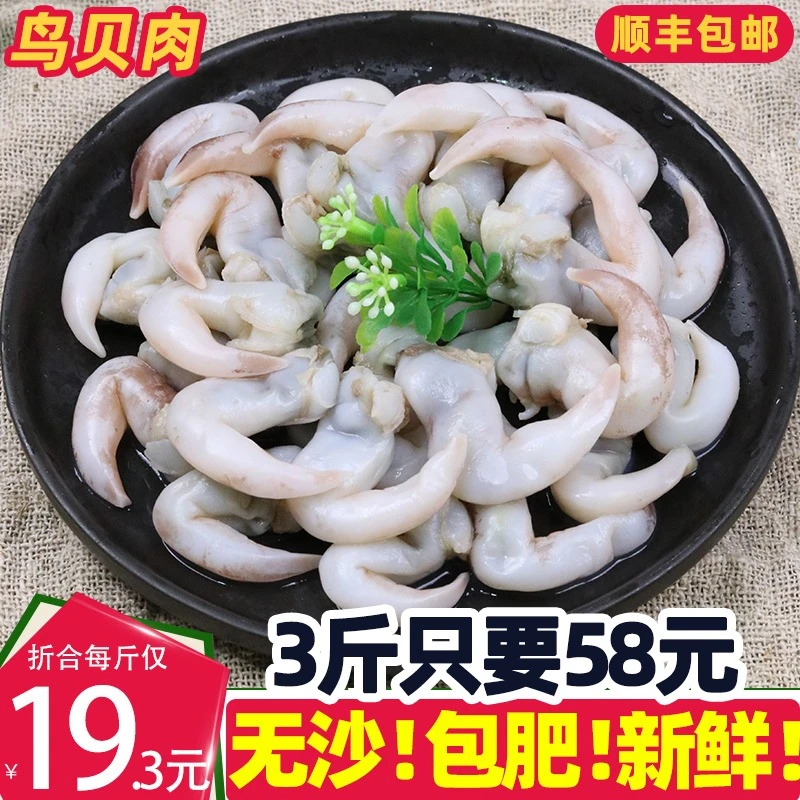 新鲜鸟贝肉3斤超大海鲜水产冷冻扇贝肉火锅食材石垣贝鸟蛤蜊鲜嫩
