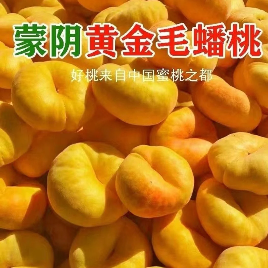 【夏日专属】山东蒙阴黄金毛蟠桃一桃两吃 脆甜爆汁