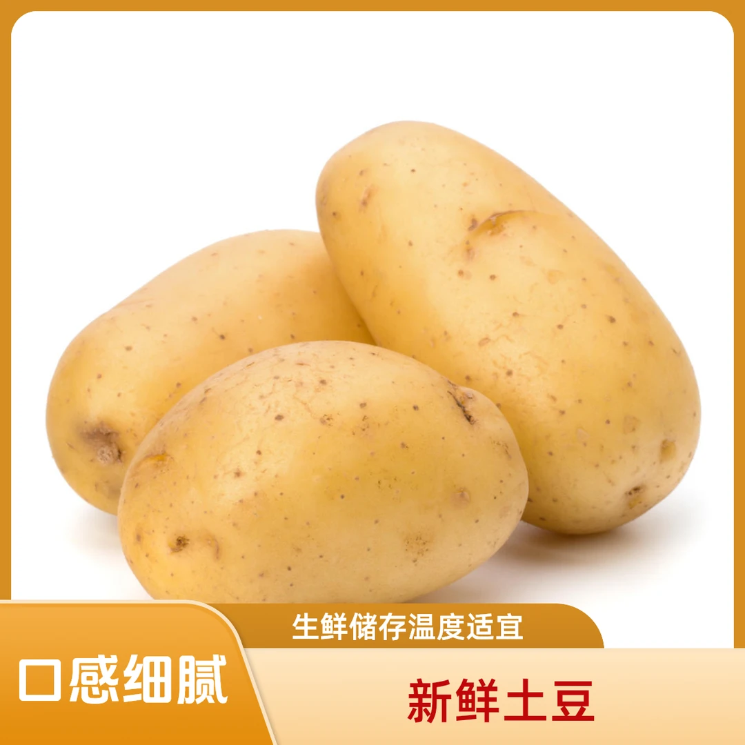 东北小园新土豆5斤10斤