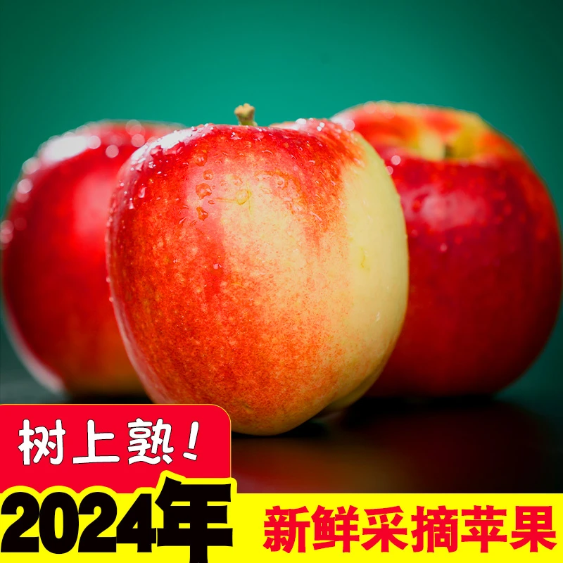 【2024年】云南昭通特产红露苹果纯甜现摘现发新鲜当季水果一整箱