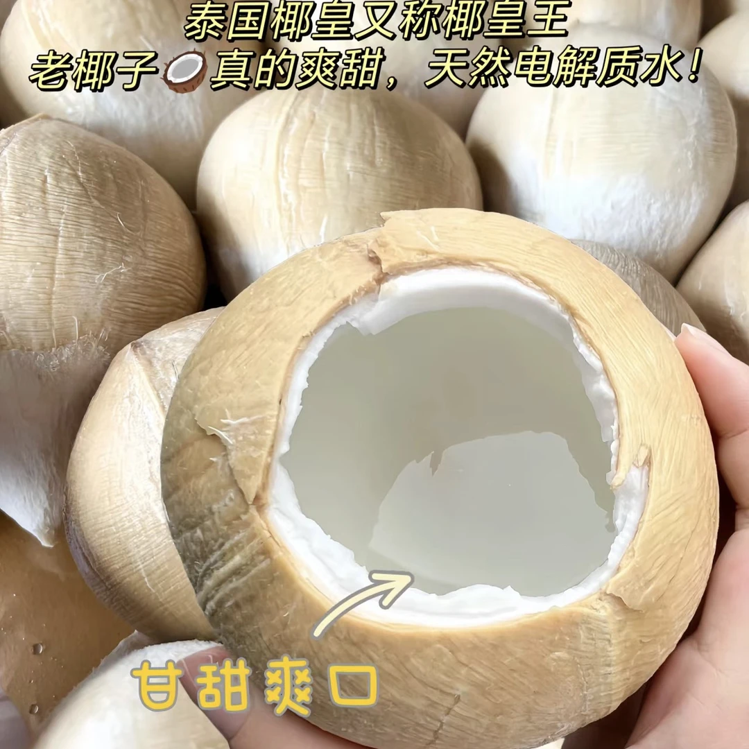 老树椰皇三粒装约三斤