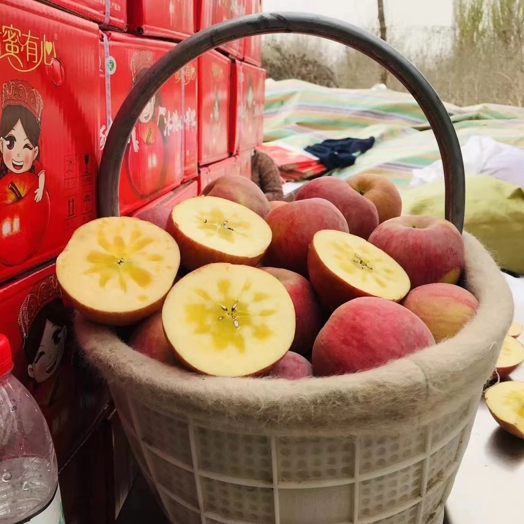正宗新疆原生态新鲜阿克苏冰冰糖心苹果自然香脆多汁重量4.5-5斤