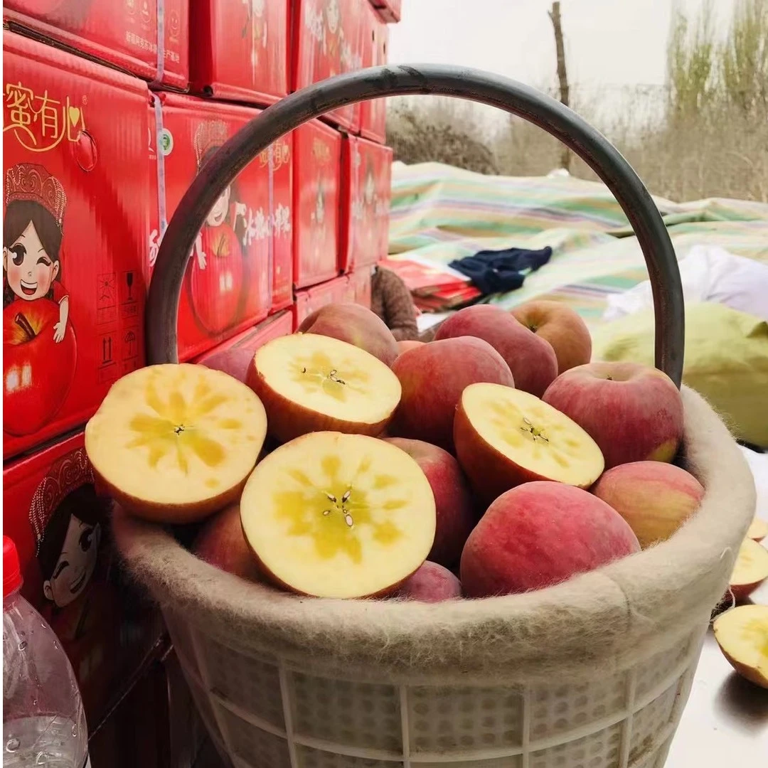 正宗原生态新疆阿克苏苹果冰糖心新鲜香脆自然4.5-5斤/8斤重量YJ