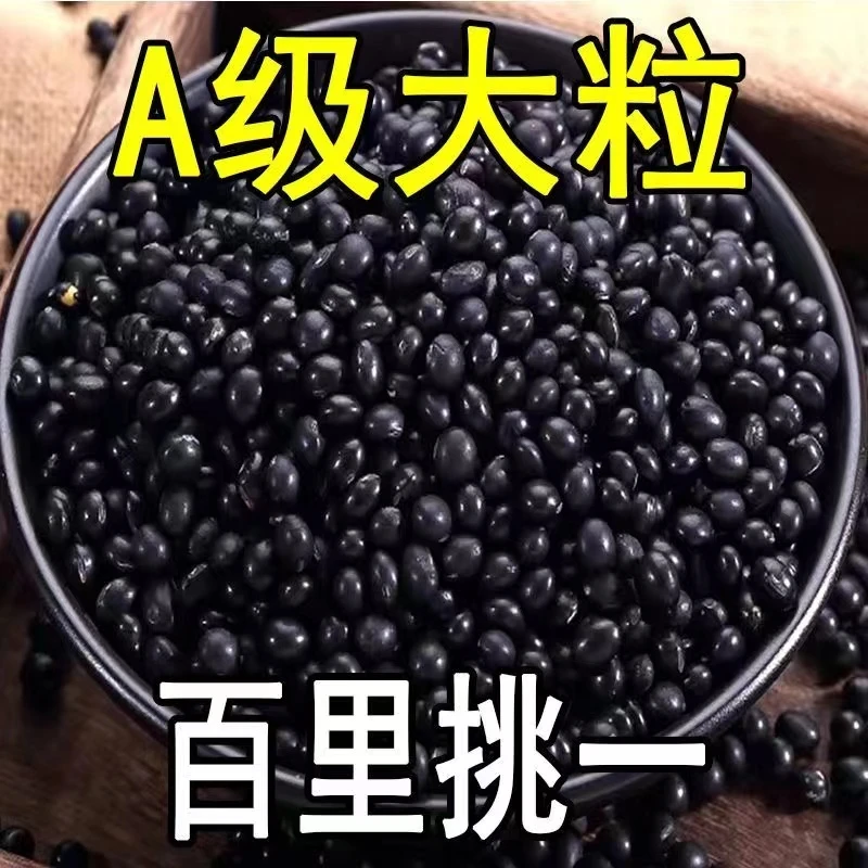 新黑豆5斤东北黑豆黑大豆黄芯黑豆批发大豆打豆浆专用10g