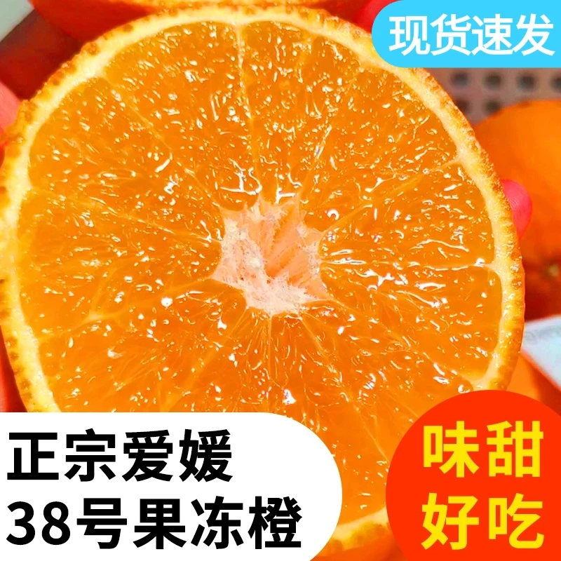 【邮政助农】爱媛38号果冻橙新鲜采摘当季橙子香甜爆汁4.5/8斤