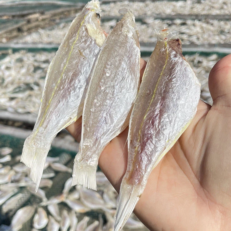 海捕红杉鱼干干鱼干货北海特产农家自制小咸鱼干海鱼金线鱼红三鱼