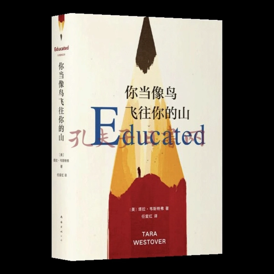 你当像鸟飞往你的山（有钢印字母）