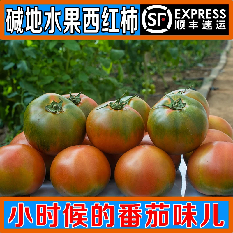 【爆款热卖】3/5斤装盐碱地西红柿 现摘番茄 铁皮草莓柿子顺丰包邮
