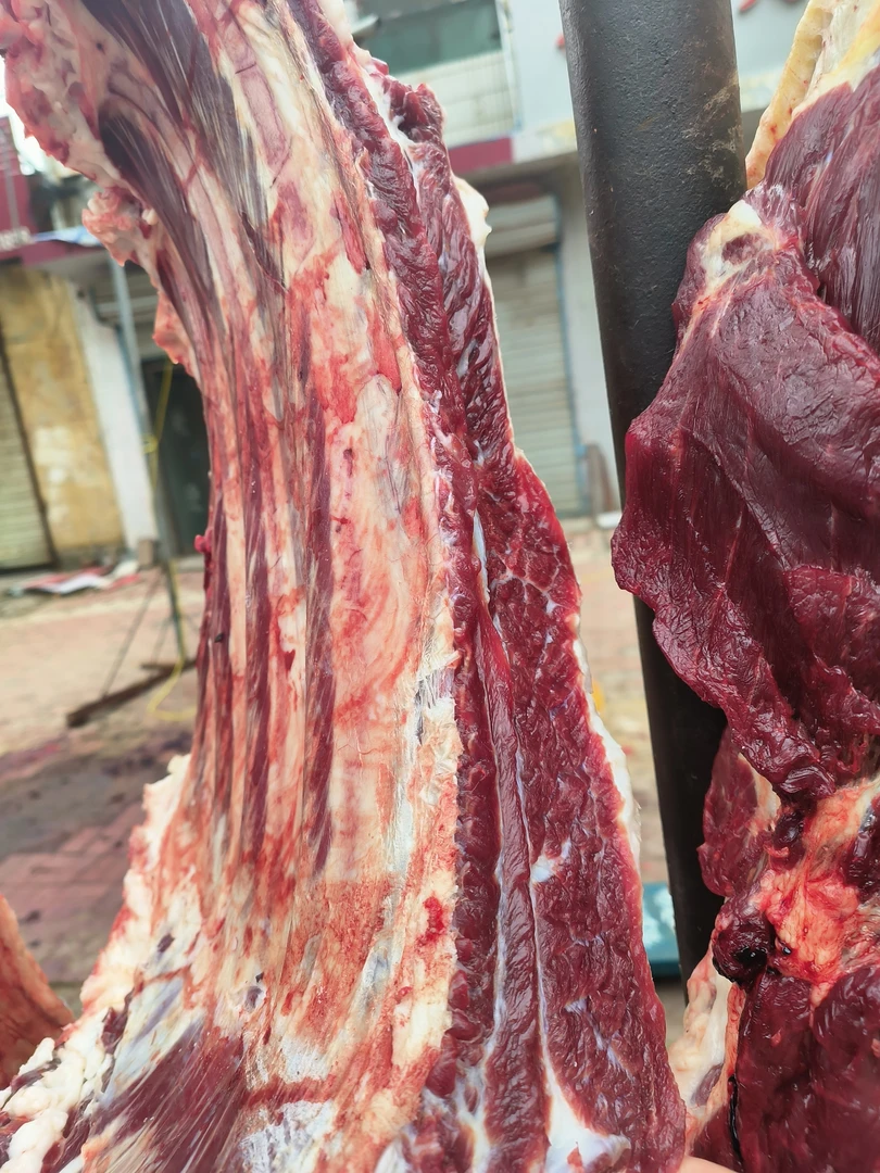 整切牛排鲁西南散养大黄牛公牛牛排