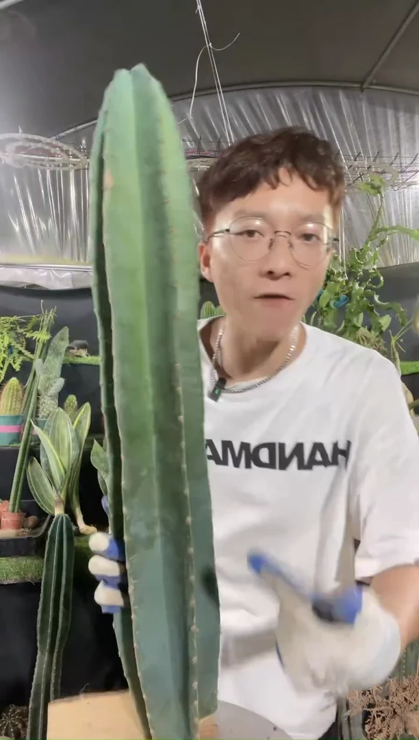 【闪购商品】无根量天尺60厘米22.8