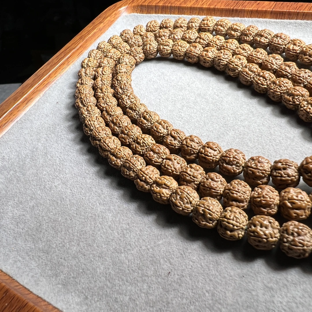 天绝梅花·花王长串10-11mm（毫米）左右