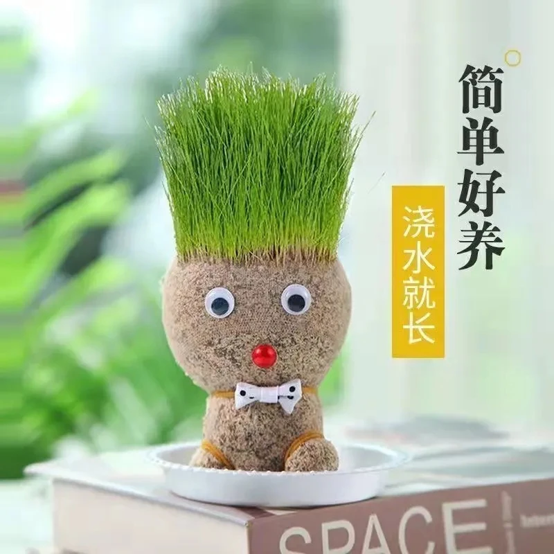 长草娃娃小盆栽小草人可爱DIY创意盆景浇水长草植物容易懒人水培